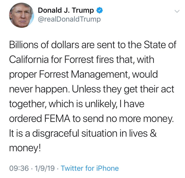 Illustration for article titled The 'Stable Genius' Just Rage-Tweeted a Misspelled Threat to Cut Funds for Fighting 'Forrest Fires'